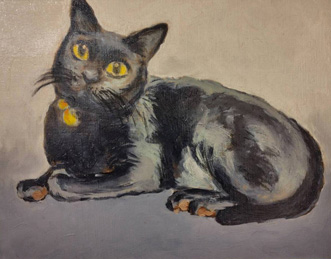 黒猫のクロ(9歳)